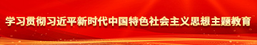 日逼干学习贯彻习近平新时代中国特色社会主义思想主题教育